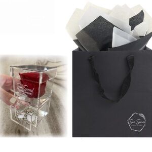 Single Preserved Red Rose inAcrylic Jewelry Box Love Romance Proposal Date Night